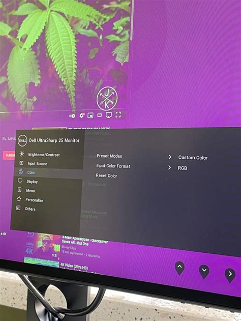 Dell Monitor Color Problem 的图像结果