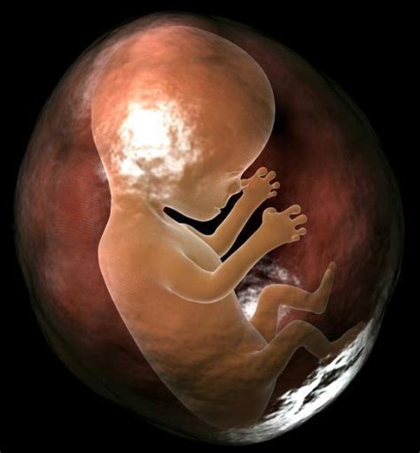 哪些情况下会导致胎停育？这6个征兆孕妈妈需注意