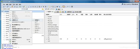 HeidiSQL Anleitung 的图像结果