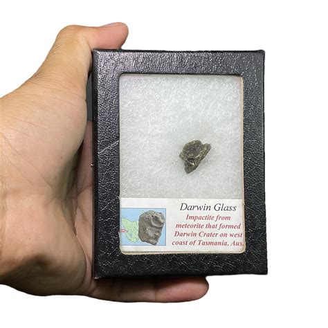 METEORITES – CrystalCaveIndia