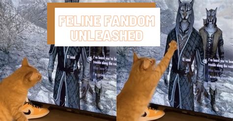 Image result for Has Excitement That Cannot Be Unleashed