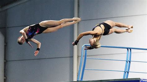 Image result for Diving Comp
