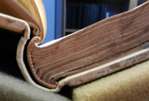 Image result for Codex Form