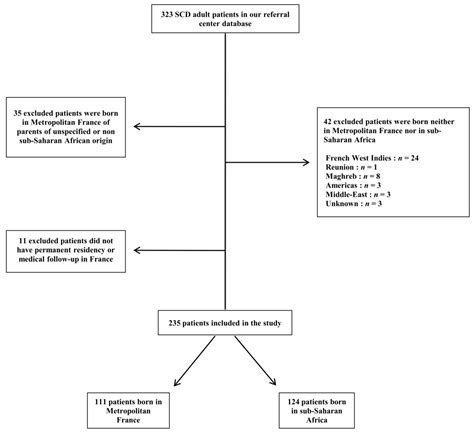 Comparison between Adult Patients with Sickle Cell Disease of Sub ...