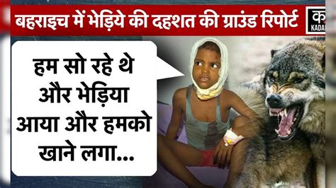 Bahraich Wolf Attack : भेड़िये ने रात 12 बजे 5 साल की बच्ची को बनाया ...