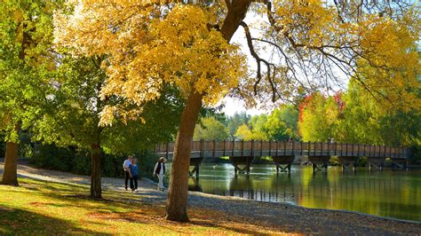View Drake Park Mirror Pond Downtown Bend Oregon Stock, 57% OFF