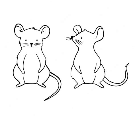 Computer Mouse Clipart - Clip Art - 6161x3880 PNG Download - PNGkit ...