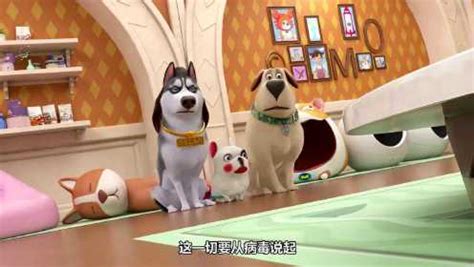 飞狗MOCO之宠物店的小秘密动画精选集 第17话_高清1080P在线观看平台_腾讯视频
