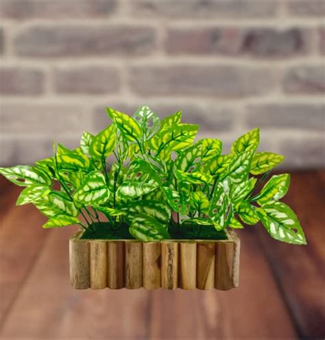 Buy Artificial Plant Money Plant Leaves in Wooden Rectangular Tray ...