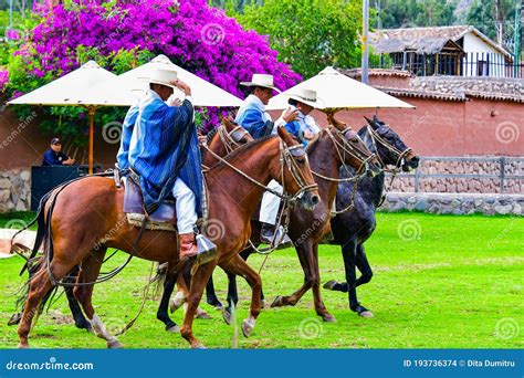 Paso Peruvian Horse-Wayra Urubamba - Peru 73 Editorial Stock Image ...