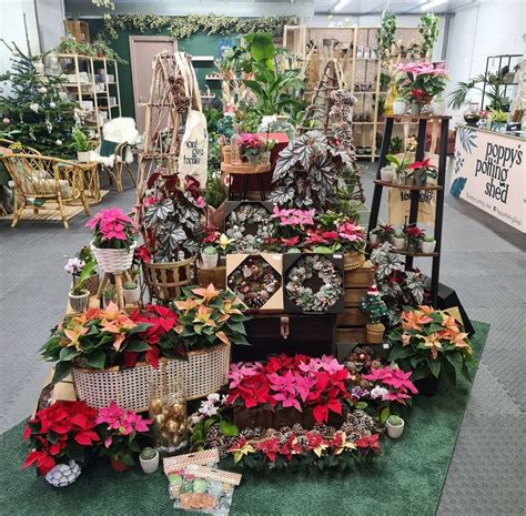 Poppy's Potting Shed to Pop Up in Harvey Nichols. | Victoria Leeds