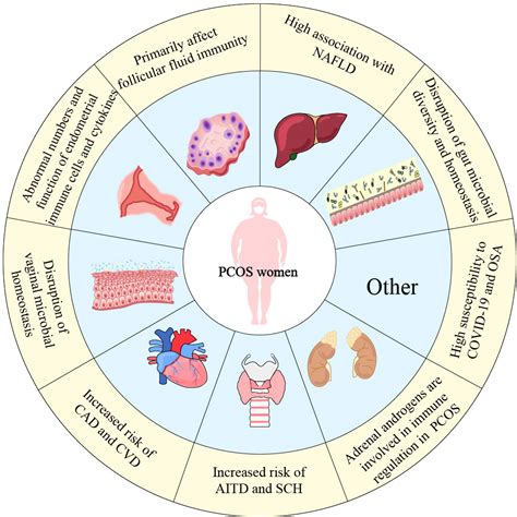 Frontiers | Dysregulation of immune response in PCOS organ system