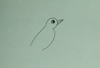 如何画一个简单的飞翔的小鸟，来看看吧 - 天晴经验网