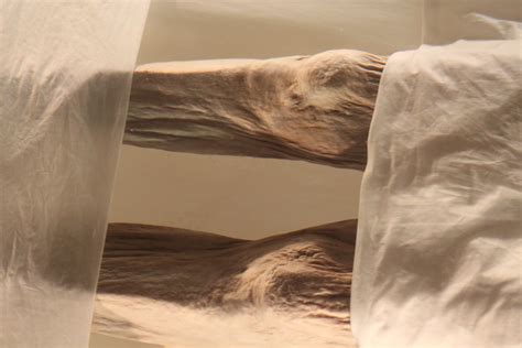 One of the best preserved mummies of all time - Chinese Lady Dai, Han ...