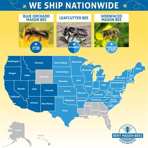 Bee Species In Florida