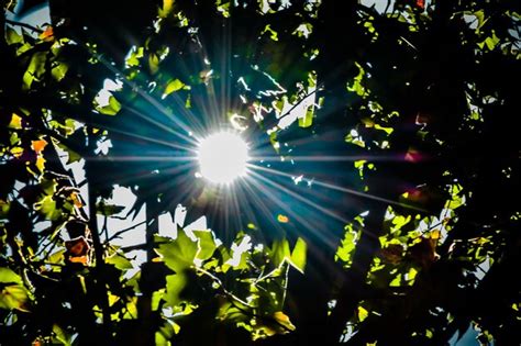 Natural Light Sources 的图像结果