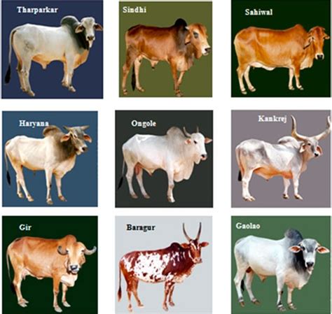 Image result for Matplotlib Free Image