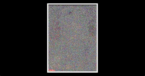 Obituary | Ms. Carolyn Jones of Jefferson, Alabama | Larkin and Scott ...