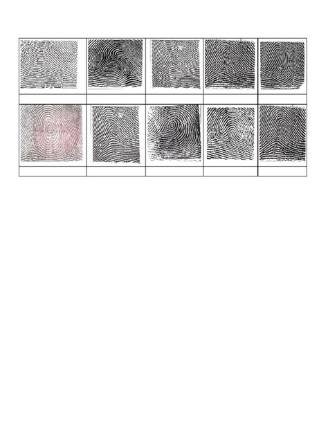 Image result for Fingerprint Patterns Worksheet
