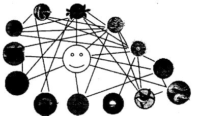 NCERT Solutions for Class 3 EVS Web of Life - Amresh Academy
