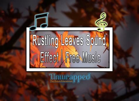 Rustling through Boxes Sound Effect 的图像结果