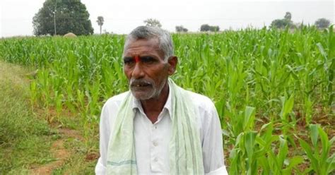 A Telangana Village Has Fought Back Against Farmer Suicides And Poverty ...