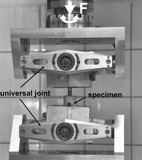 Axial Force Testing 的图像结果