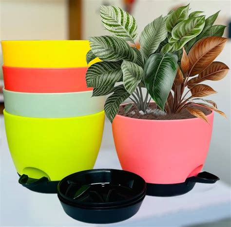 Plant Containers & Pots Online at Best Prices on Flipkart