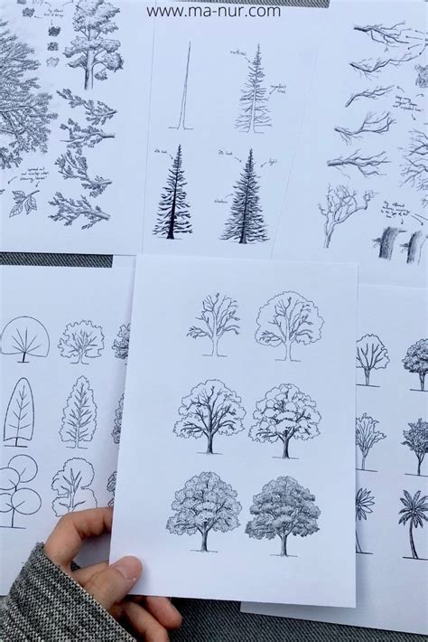 Image result for Draw Trees Tutorial