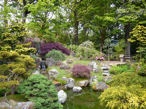 What Plants Are In A Japanese Garden at Rudolph Miller blog