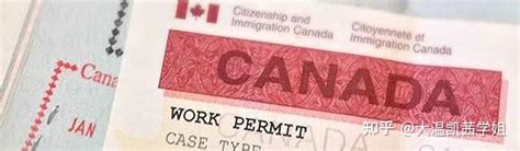 大龄加拿大留学移民申请过程概述 - YouTube