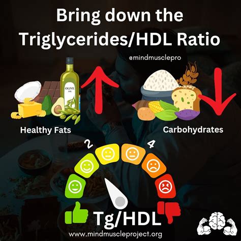 Ratio Of Hdl To Triglycerides