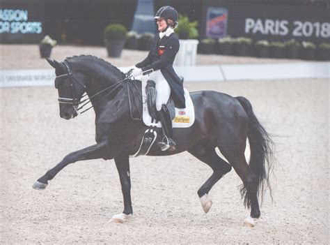 My Story - WG Dressage