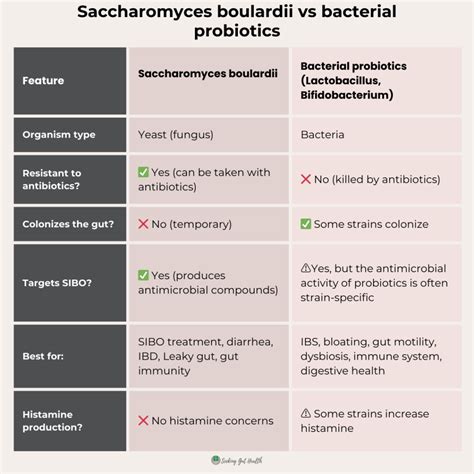 Probiotics for SIBO: Do they help or make symptoms worse?