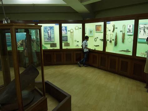 A 2025 Visitor’s Guide: Anthropological Museum in Andaman