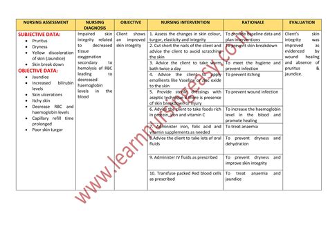 Nursing care plan on Anemia - Assessment, Diagnosis, planning, Implementation and Evaluation | PDF
