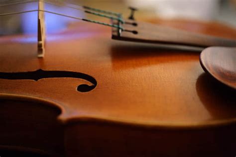 Image result for Viola Tutorial