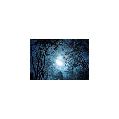 Yeele 9x6ft Forest Night View Backdrop Night Sky | Ubuy India