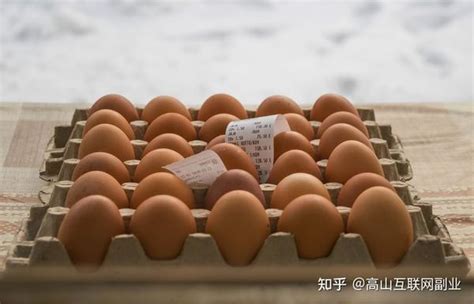 2023年4月27日鸡蛋价格最新报价 - 知乎