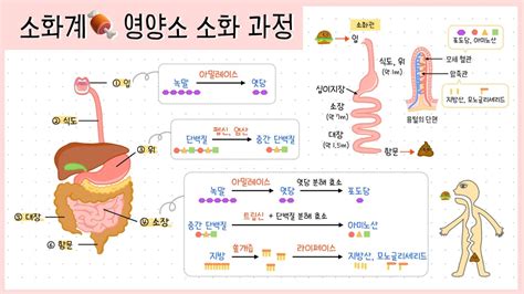 Image result for Computer Aided Software Engineering Case