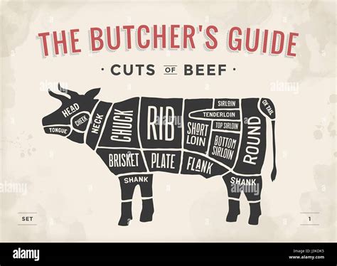 Cut of beef set. Poster Butcher diagram and scheme - Cow. Vintage typographic hand-drawn. Vector ...