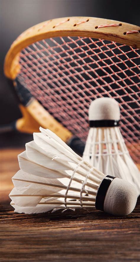 Badminton Wallpaper 的图像结果