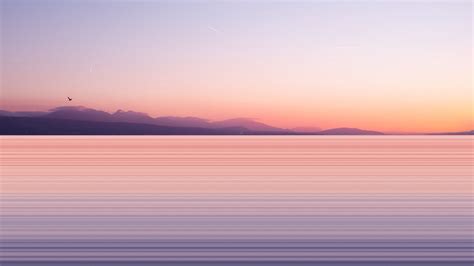 Download wallpaper 2560x1440 lake, shore, bird, dusk, long exposure ...