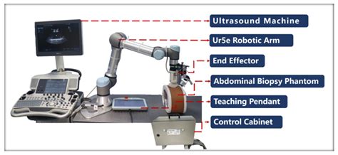An Adaptive Control Method and Learning Strategy for Ultrasound-Guided ...
