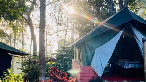 LETS Camp | Best Location in Yercaud | Coffee Plantations