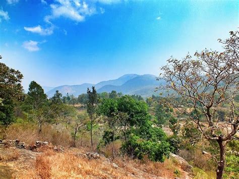 AKASA BR HILLS (Chamarajanagar) - Hotel Reviews & Photos - Tripadvisor