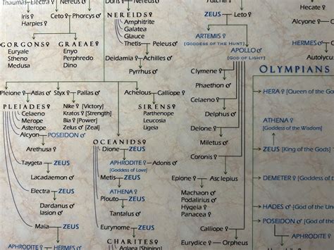 Hercules Greek God Family Tree The Family Tree Of The Greek God Zeus