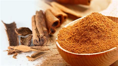 manfaat kayu alpukat