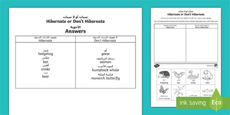 Animal Hibernation Sorting Worksheet / Worksheet Arabic - Arabic ...