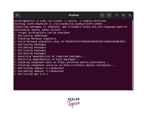 Linux Container Tutorial 的图像结果